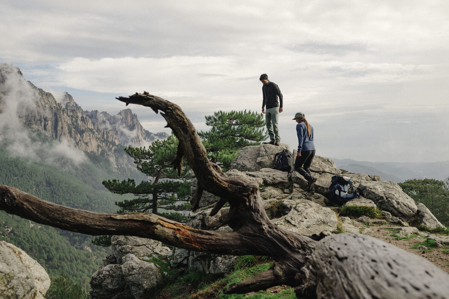 Abisko Lite Fleece Jacket W - Image 12